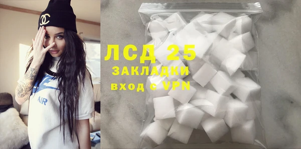 стафф Бородино