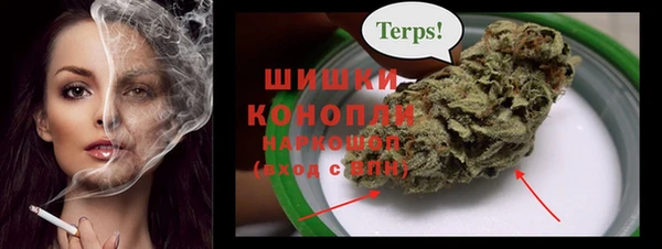 стафф Бородино