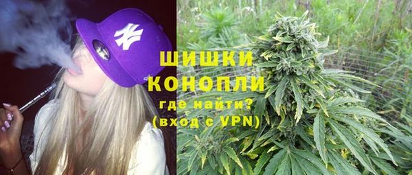 стафф Бородино