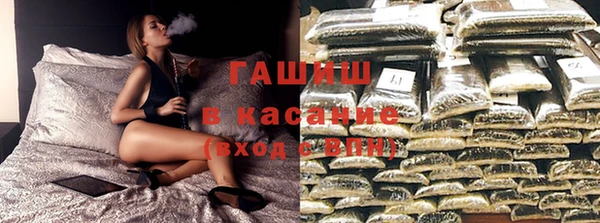 стафф Бородино