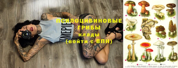 стафф Бородино