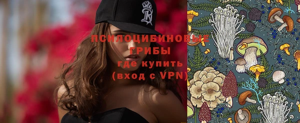 стафф Бородино