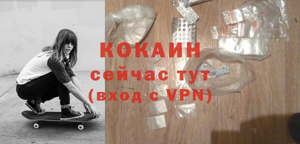 стафф Бородино